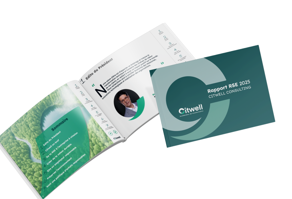 Rapport RSE citwell